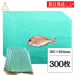 y}\Iő2000~OFFz O[p[` 100 8 381mm×254mm 3 Lb`y[p[ y[p[^I RpNg lc ޗ΂̎  ΂̎ O[p[` O[V[