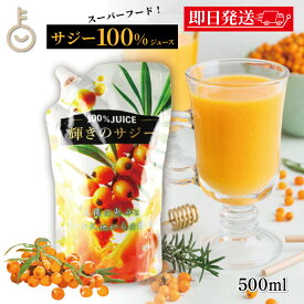 【ポイント2倍！11/9 23:59まで】 サジー ホージョー 輝きのサジー 500ml 1袋 ストレート果汁100%ジュース 保存料 香料 着色料 無添加 博多トレーディング サジージュース サジー ジュース 100% スーパーフード まとめ買い ランキング 業務用 大容量 送料無料