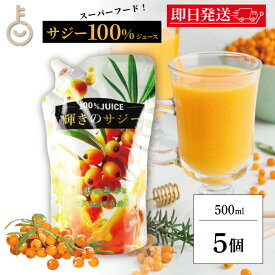 【ポイント2倍！11/9 23:59まで】 サジー ホージョー 輝きのサジー 500ml 5袋 ストレート果汁100%ジュース 保存料 香料 着色料 無添加 博多トレーディング サジージュース サジー ジュース 100% スーパーフード まとめ買い ランキング 業務用 大容量 送料無料