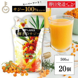 【ポイント2倍！11/9 23:59まで】 サジー ホージョー 輝きのサジー 500ml 20袋 ストレート果汁100%ジュース 保存料 香料 着色料 無添加 博多トレーディング サジージュース サジー ジュース 100% スーパーフード まとめ買い ランキング 業務用 大容量 送料無料