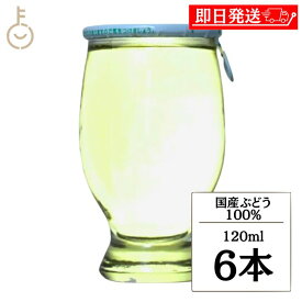 【マラソン限定！最大2000円OFF】 林農園 五一わいん カップワイン 白 120ml 6本 ワインカップ 白ワイン 日本ワイン 国産ワイン 飲みきりミニサイズ 長野 ワインバレー 行楽 BBQ お祝 キャンプ アウトドア 晩酌 詰め合わせ まとめ買い ランキング ギフト 福袋