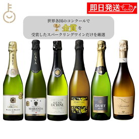 【マラソン限定！最大2000円OFF】 金賞受賞 スパークリングワイン 6種 アソートセット 750ml 6本 飲み比べ 辛口 中甘口 白 発泡 フランス スペイン イタリア オーストラリア ギフト 詰め合わせ まとめ買い ランキング 泡 ワイン セット 送料無料 専門家厳選 豪華 福袋