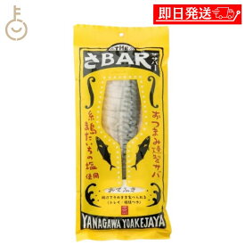 【マラソン限定！最大2000円OFF】 鯖の燻製 サバ THE さBAR またいちの塩 1袋 鯖 燻製 おつまみ ノルウェー サバ カット済み トレイ 爪楊枝・お手拭き付き 干物 常温保存 長期保存 保存食 詰め合わせ まとめ買い ランキング 業務用 大容量 ポイント消化 送料無料 福袋