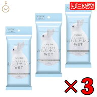 【レビュー投稿で500円OFFクーポン】 ネピア おしりセレブ おでかけ WET ポケットサイズ お出かけ 無香料…