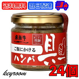 【25日限定ポイント2倍！最大2000円OFF】 飛騨ハム ご飯にかける飛騨牛ハンバ具ー 120g 24個 ハンバーグ 飛騨高山 飛騨 惣菜 おにぎりの具 うどん ごはんのお供 ハンバーグ 飛騨牛 ギフト 贈答 父の日 早割