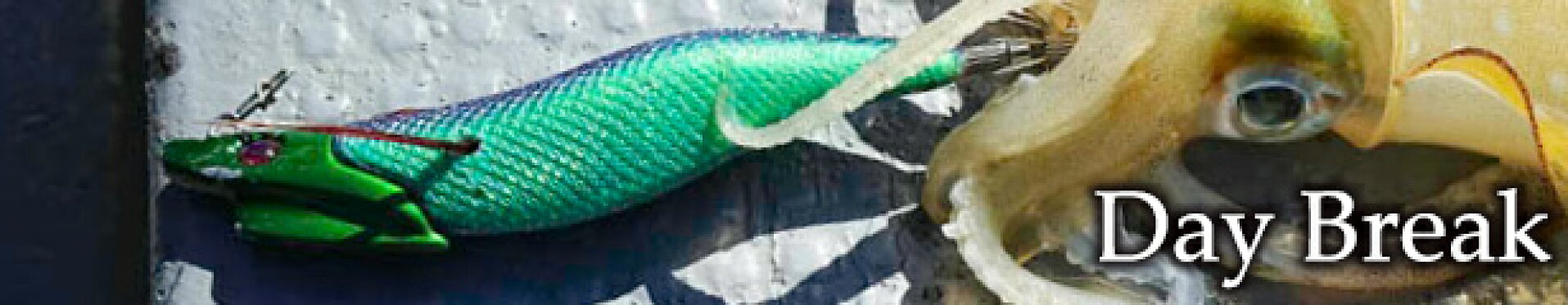 デイブレイク3.3号＆4.0号