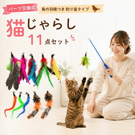 ＼当店全品ポイント3倍！／　じゃらし ねこじゃらし 猫 おもちゃ 猫用 ねこ ネコ 玩具 猫のおもちゃ 鳥の羽 羽根 鈴 釣り竿 コンパクト ストレス解消 グッズ 運動不足 猫おもちゃ 猫用おもちゃ 猫遊び道具 猫用グッズ 猫用品 ペット用品 羽根の猫じゃらし