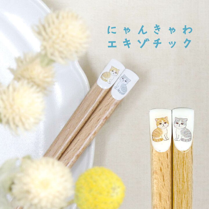 楽天市場】＼10％OFFクーポン&P5倍！／ 天然木 猫 箸 猫柄 はし お箸 