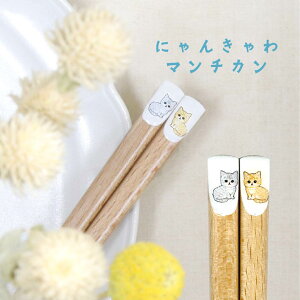 VR L  L ͂   L̔ { }C ˂ ɂ񂫂 { S8 킢 킢L ؐ H LD Mtg Lb`pi lRD v[g ig