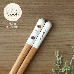 _ӍՌISi5OFFI^@_Iׂ13I^    킢 ͂ ͂ R 23.0cm  13 { i` H@Ή VR G  ̎q Mtg v[