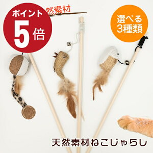 _Si|Cg5{{300~OFFN[|I^ ˂炵 L炵 L Lp  VRf ˂炵 H{[   V G VR V ؍ RN ybgObY ybg