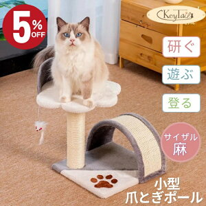 _Xő50OFF!I^@L Lbg^[ ^[ ܂Ƃ  glt L̒܂Ƃ qL VL RpNg u^ @\ ȃXy[X TCU L̃gl v CeA