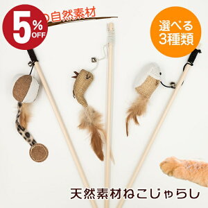 _Xő50OFF!I^@˂炵 L炵 L Lp  VRf ˂炵 H{[   V G VR V ؍ RN ybgObY ybgpi ^s