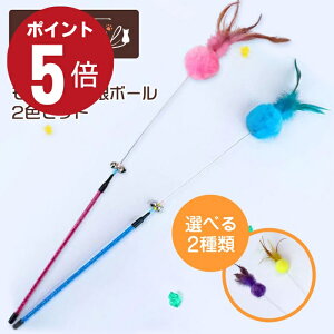 _Si|Cg5{{300~OFFN[|I^ L炵 ˂炵 L  Lp H {[  G V ybgObY ybgpi ^s XgX Lpi L[eC 