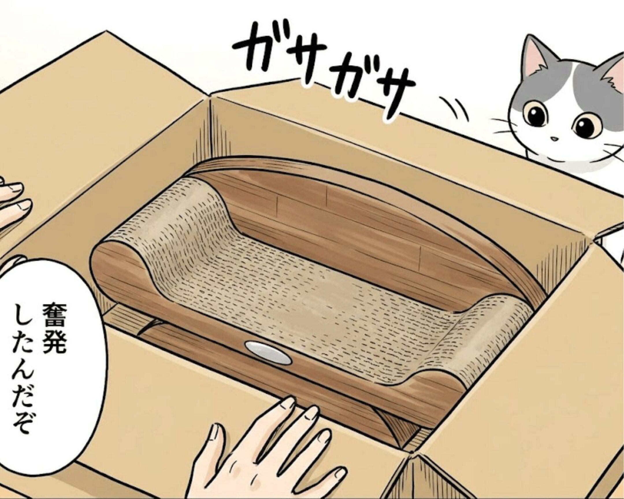 猫用ソファ型爪とぎが届くも、猫ちゃんは匂いを確認しただけで使わず、梱包ダンボール箱に飛び込み、そのまま満足そうにくつろぐ様子を描いたイラスト。