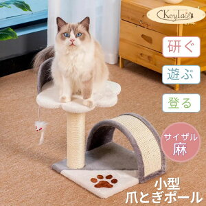 _ӍՌISi5OFFI^@L Lbg^[ ^[ ܂Ƃ  glt L̒܂Ƃ qL VL RpNg u^ @\ ȃXy[X TCU L̃gl v C