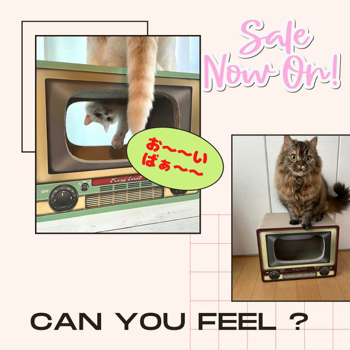楽天市場 猫 爪とぎ つめとぎ ダンボール ハウス オシャレ キーテイル にゃんネイル テレビ ネコハウス ハウス お家 ベッド ベット ソファー 爪とぎ防止 壁紙 昭和 テレビ ダンボール ハウス ねこ 猫の爪とぎ キーテイル楽天市場店