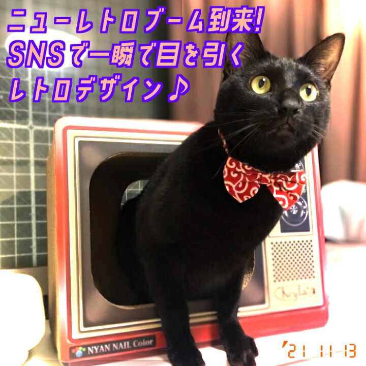 楽天市場 猫 爪とぎ つめとぎ ダンボール ハウス オシャレ キーテイル にゃんネイル テレビ ネコハウス ハウス お家 ベッド ベット ソファー 爪とぎ防止 壁紙 昭和 テレビ ダンボール ハウス ねこ 猫の爪とぎ キーテイル楽天市場店