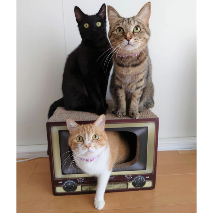 楽天市場 猫 爪とぎ つめとぎ ダンボール ハウス オシャレ キーテイル にゃんネイル テレビ ネコハウス ハウス お家 ベッド ベット ソファー 爪とぎ防止 壁紙 昭和 テレビ ダンボール ハウス ねこ 猫の爪とぎ キーテイル楽天市場店