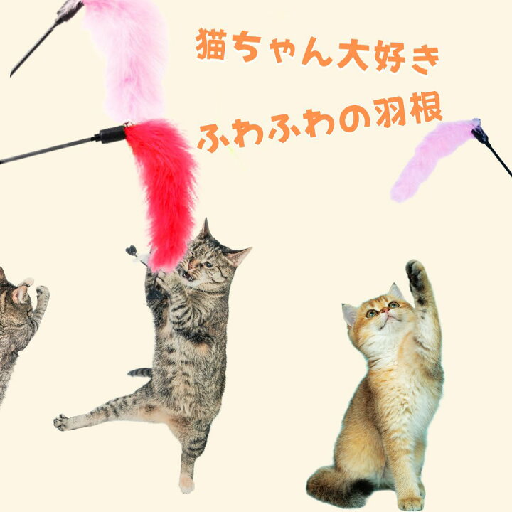 楽天市場】猫じゃらし ねこじゃらし 猫 ねこ じゃらし 猫じゃらし 猫用  