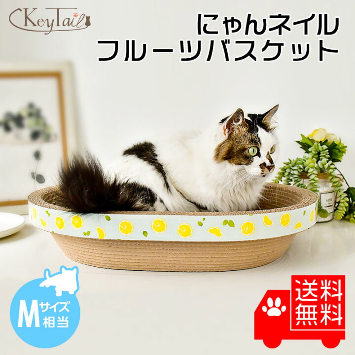 楽天市場 猫 爪とぎ ダンボール 爪研ぎ 猫鍋 猫なべ 猫どんぶり 爪磨き にゃんネイル フルーツバスケットm おしゃれ つめとぎ 省スペース ねこ ネコの爪とぎ 爪みがき 爪 ベット ベッド ハウス お椀型 鍋 大きめ おもちゃ しつけ カリカリ 段ボール 猫の爪とぎ