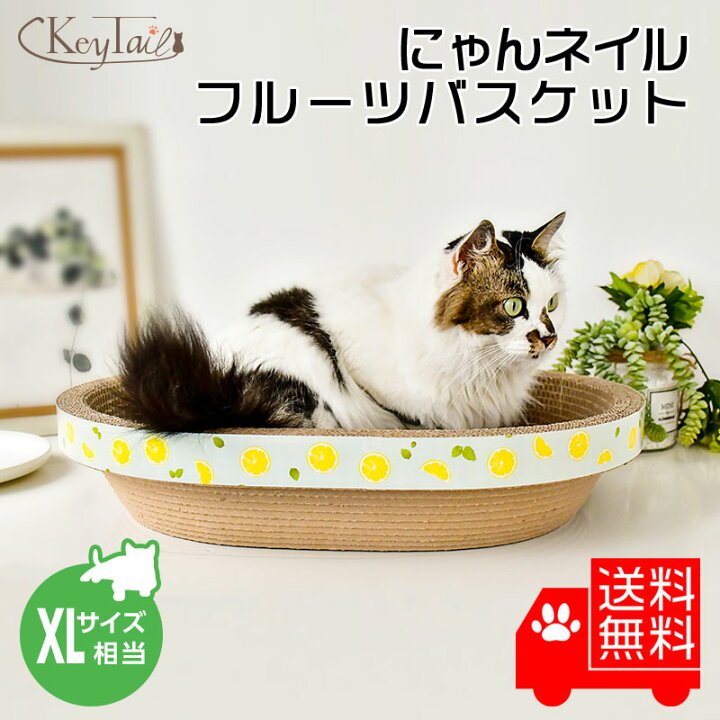 楽天市場 猫 爪とぎ ダンボール 段ボール 爪研ぎ 猫鍋 猫なべ 猫どんぶり 爪磨き にゃんネイル フルーツ バスケット Xl おしゃれ つめとぎ 省スペース ねこ ネコの爪とぎ 爪みがき 爪 ベット ベッド ハウス お椀型 鍋 猫用爪とぎ 猫の爪とぎ キーテイル楽天市場店 楽天市場 猫 爪とぎ ダンボール 段ボール 爪研ぎ 猫鍋 猫なべ 猫どんぶり 爪磨き にゃんネイル フルーツ バスケット Xl おしゃれ つめとぎ 省スペース ねこ ネコの爪とぎ 爪みがき 爪 ベット ベッド ハウス お椀型 鍋 猫用爪とぎ 猫の爪とぎ キーテイル楽天市場店