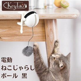 ＼ラスト26時間！P最大9倍＋10％OFF！／ 猫 おもちゃ ボール 電動ボール ねこじゃらし 猫じゃらし 電動ねこじゃらし 自動回転 運動不足解消 ストレス発散 猫用おもちゃ クリップ式 取り付け簡単 毛玉 電動ねこじゃらし ネコ 猫 おもちゃ 電動 猫じゃらし
