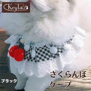 _Xő50OFF!I^@L P[v Lbg EFA[  P[v L[eC VV  ˂  L  q ^ MK`FbN P[v  L ˂ P[v  