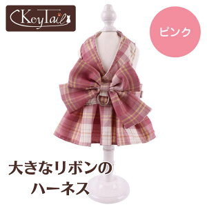 _Xg26ԁIPő9{{10OFFI^ Ln[lX Lpn[lX _uubN { `FbN L[eC hX \tg[h  q ybgp STCY LTCY 킢 { o