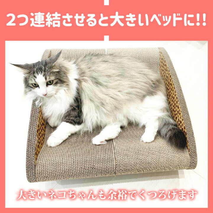 楽天市場 猫 ベッド ベット ダンボール つめとぎ 爪研ぎ ソファー Lサイズ コスモ 台座付き ソファ おしゃれ おすすめ しつけ ハウス ベッド 対策 段ボール 壁 猫の爪とぎ 爪とぎ防止 おもちゃ グッズ 紙 爪磨き キャット にゃんネイル 猫用品 キーテイル キーテイル