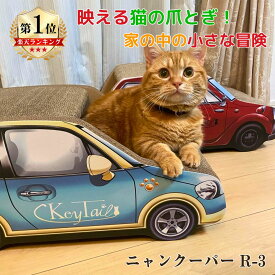 ＼店内最大99％OFF！／ 【楽天1位】 猫 爪とぎ ダンボール 車 つめとぎ 爪研ぎ ねこつめとぎ 猫つめとぎ オシャレ 爪とぎ猫 可愛い 猫爪とぎ段ボール 段ボール にゃんネイル 爪磨き キャット ベッド 猫爪とぎ インテリア ギフト プレゼント