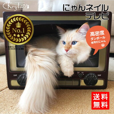 楽天市場 猫 爪とぎ つめとぎ ダンボールハウス オシャレ キーテイル にゃんネイル テレビ ネコハウス ハウス お家 ベッド ベット ソファー 爪とぎ防止 壁紙 昭和 テレビ ダンボール ハウス ねこ 猫の爪とぎ キーテイル楽天市場店
