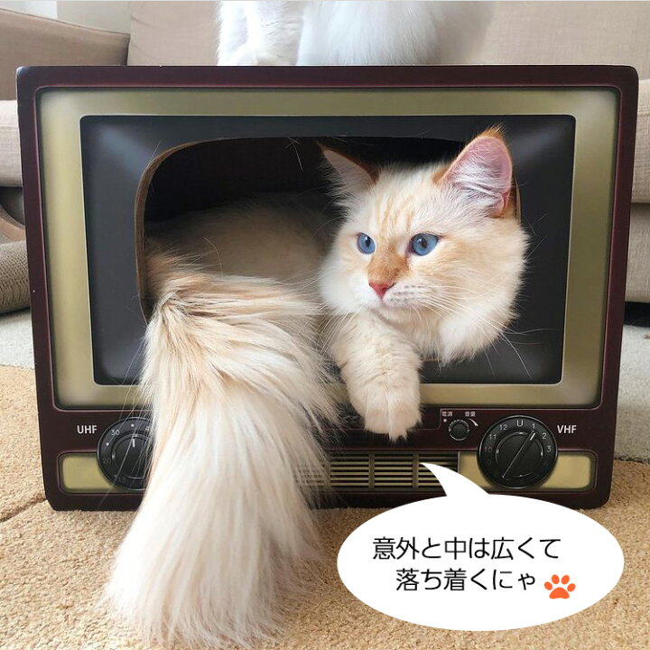 楽天市場 猫 爪とぎ つめとぎ ダンボール ハウス オシャレ キーテイル にゃんネイル テレビ ネコハウス ハウス お家 ベッド ベット ソファー 爪とぎ防止 壁紙 昭和 テレビ ダンボール ハウス ねこ 猫の爪とぎ キーテイル楽天市場店 楽天市場 猫 爪とぎ つめとぎ ダンボール ハウス オシャレ キーテイル にゃんネイル テレビ ネコハウス ハウス お家 ベッド ベット ソファー 爪とぎ防止 壁紙 昭和 テレビ ダンボール ハウス ねこ 猫の爪とぎ キーテイル楽天市場店