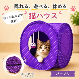 ＼店内最大50％OFF！／　キャット テント キャットテント 猫 ハウス 折りたたみ キューブ型 ドッグ ドッグテント 猫小屋 犬小屋 折り畳み トンネル ボール おもちゃ ネコハウス キューブ にゃんこ キャットトンネル 折りたたみ式ねこハウス