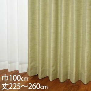 KEYUCA �P���J �J�[�e�� �h���[�v �O���[�� �`��L�� �E�H�b�V���u�� �h�� ��100×��225�`260cm TDOS7568[�J�[�e�� �h���J�[�e�� �􂦂� �E�H�b�V���u�� ���� �h���[�v�J�[�e�� �I�V���� ���_�� �O��