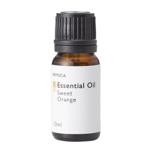 yKEYUCAXzPJ eo GbZVIC XC[gIW I[XgAY@10ml [A}IC N[[VACe VR  Mtg Vv ʔ yV]