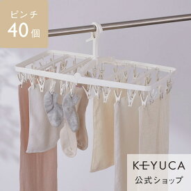 【KEYUCA公式店】ケユカ AST 立ててしまえるピンチハンガー 40個付き[洗濯用品 物干し 洗濯ばさみ 洗濯物干し 無地 シンプル おしゃれ ギフト ピンチハンガー ハンガー ピンチ 折りたたみ 洗濯ハンガー 洗濯干し 物干しハンガー 洗濯物 洗濯バサミ 洗濯ピンチ 室内 部屋干し]