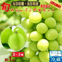 【2026年分予約販売開始】 シャインマスカット 山梨産 産地直送 約1.0kg 2~3房 送料無料 マスカット ぶどう 種なし ブ…