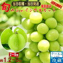 【2026年分予約販売開始】 シャインマスカット 山梨産 産地直送 約1.2kg～5kg 送料無料 2房～9房 マスカット ぶどう …
