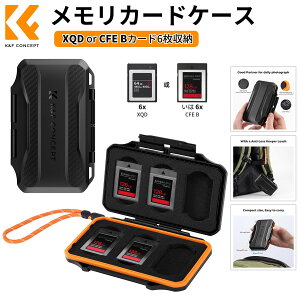 Max10%OFFzz!! J[hP[X XQDJ[h6CFE BJ[h6[ e Ռی ABS hEho