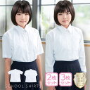 スクールシャツ 半袖 女子 長袖 ノーアイロン 選べる2-3枚セット ブラウス ワイシャツ 白 155-170 学生服 中学生 高校生 制服 春夏秋冬
