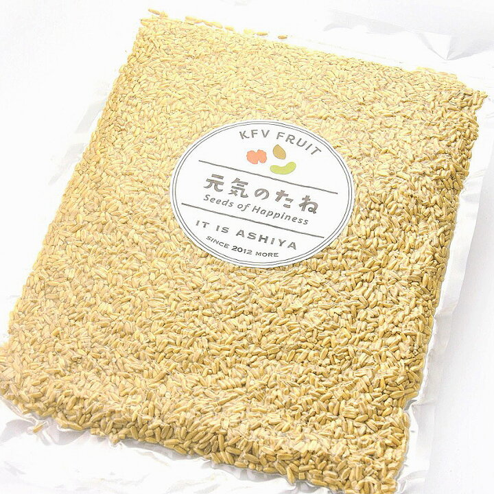 169円 非売品 オーガニック オーガニックオートミール 300g 169円 非売品 オーガニック オーガニックオートミール 300g