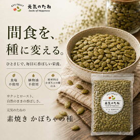 かぼちゃの種 無添加 無塩 無油 ロースト 小分け 400g(200g×2) 食用 パンプキンシード 送料無料