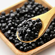 ドライフルーツ 砂糖不使用 無添加 ブルーベリー 500g ノンオイル 送料無料 ルテイン blueberry ぶるーべ…