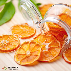 ドライフルーツ 国産 無添加 砂糖不使用 みかん オレンジ 900g 送料無料 ノンオイル 果物 フルーツ 乾燥果実 健康 美容 お菓子 ギフト 元気のたね