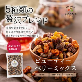 ドライフルーツ 砂糖不使用 無添加 ビューティー ベリー ミックス 500g 送料無料 ノンオイル レーズン マスカットレーズン インカベリー デーツ なつめやし いちじく