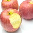 りんご お徳用 訳あり リンゴ バラ詰め 大きさ無選別 10kg 旬の産地より ランキングお取り寄せ