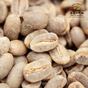 R[q[  XyVeB  G`IsA  Ĉ yeʂIz