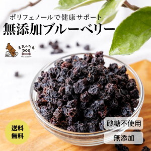   Y u[x[ sgp  ̂ eʂI Ĉ