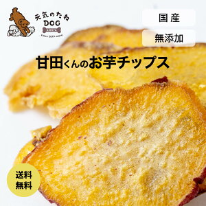   Y ܈`bvX sgp ܂  ̂ eʂI Ĉ